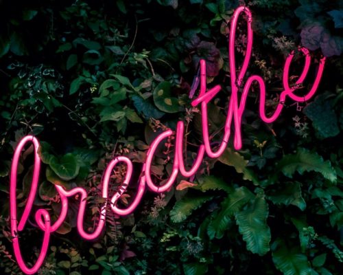 Neon sign reading "breath" on a leafy wall
