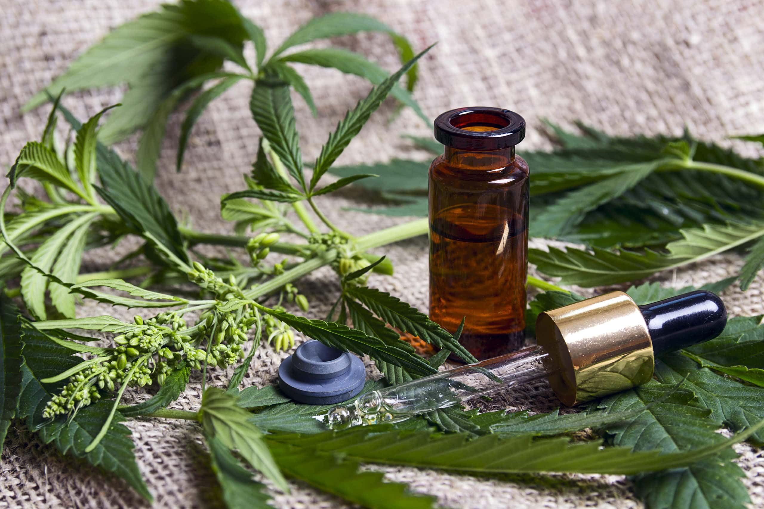 does cbd oil help with diabetes